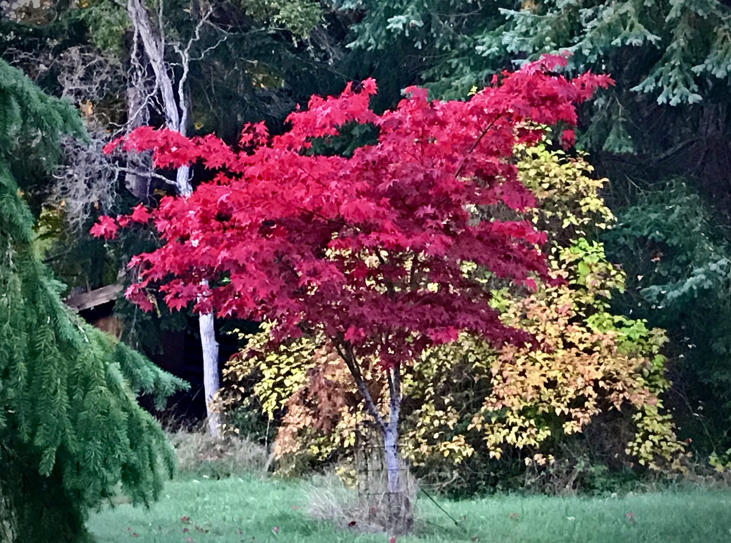 The Fall Equinox: Embracing Change